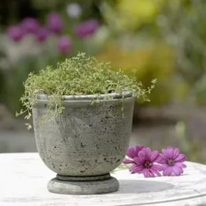 Campania Arles Planter