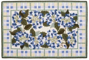 Lacecap Hydrangea 2x3