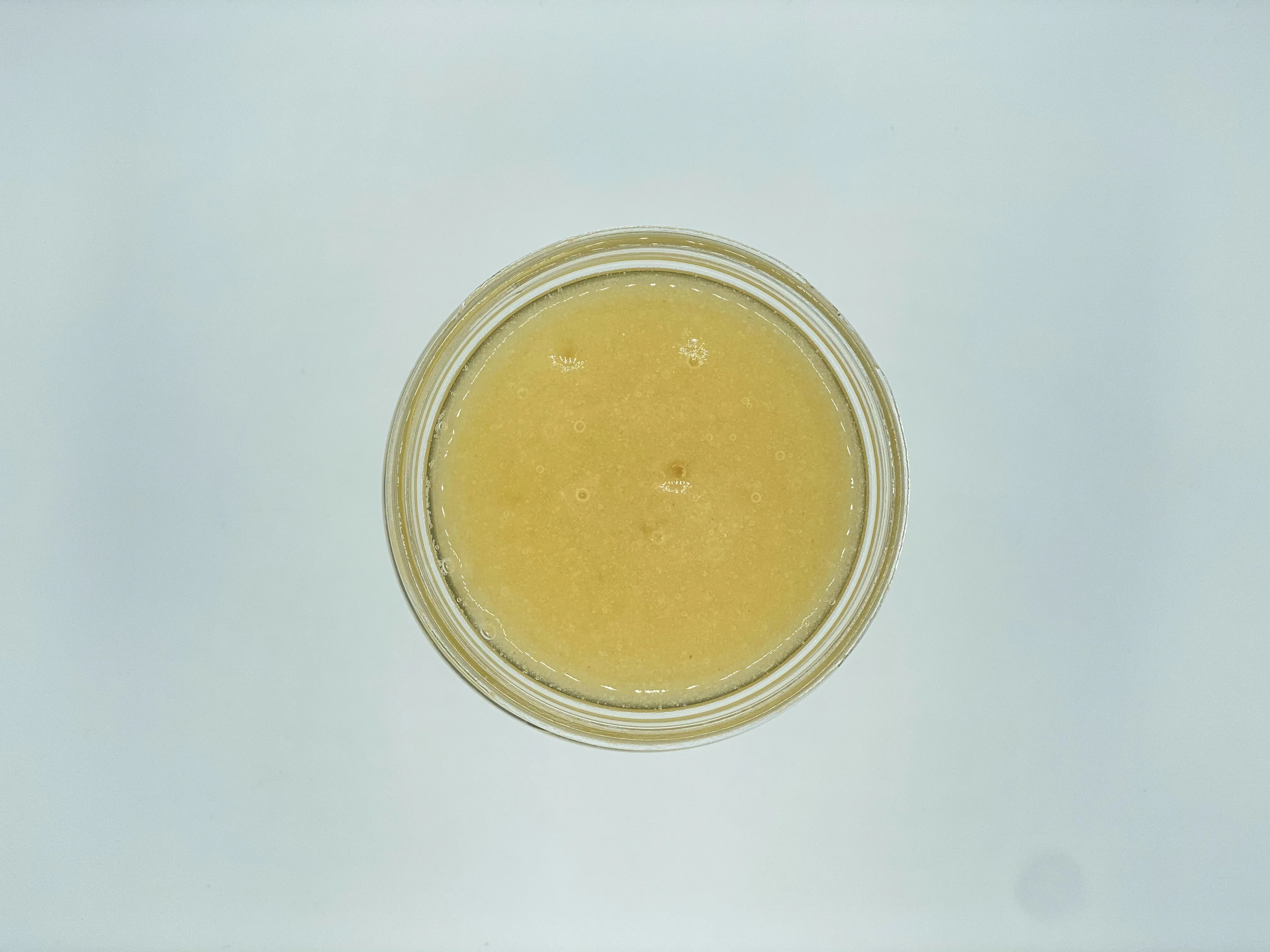 Premium Original Sea Moss Gel