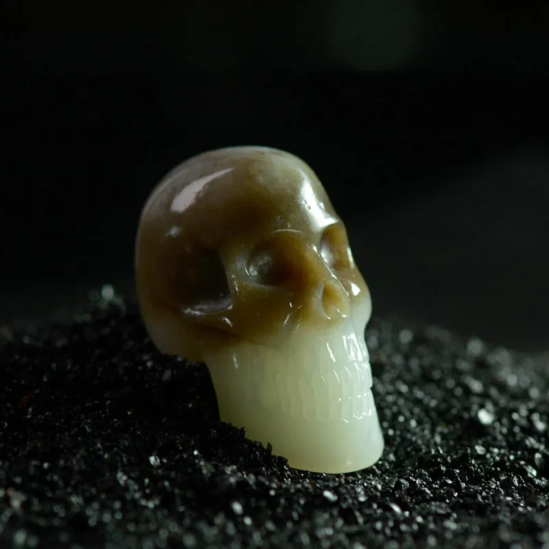Skull