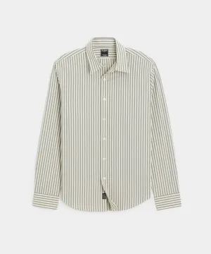 Slim Fit Poplin Sport Shirt in Dark Grey Bengal Stripe
