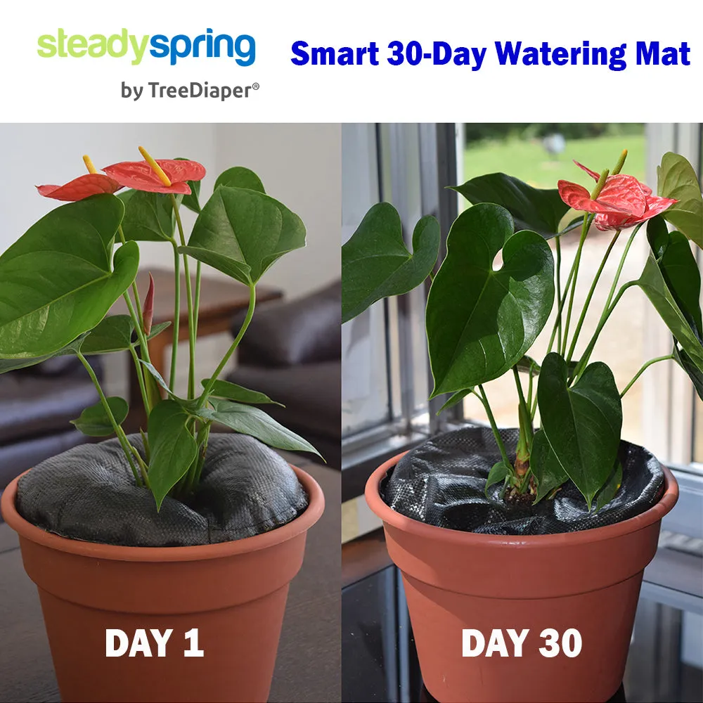 Smart Spring Smart Watering Mats for Containers