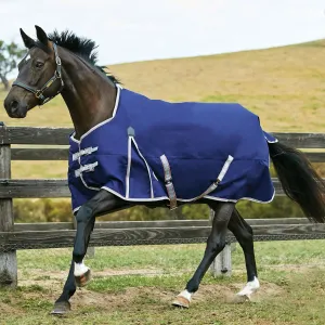 WeatherBeeta Comfitec Essential Standard Neck Heavy Turnout Blanket
