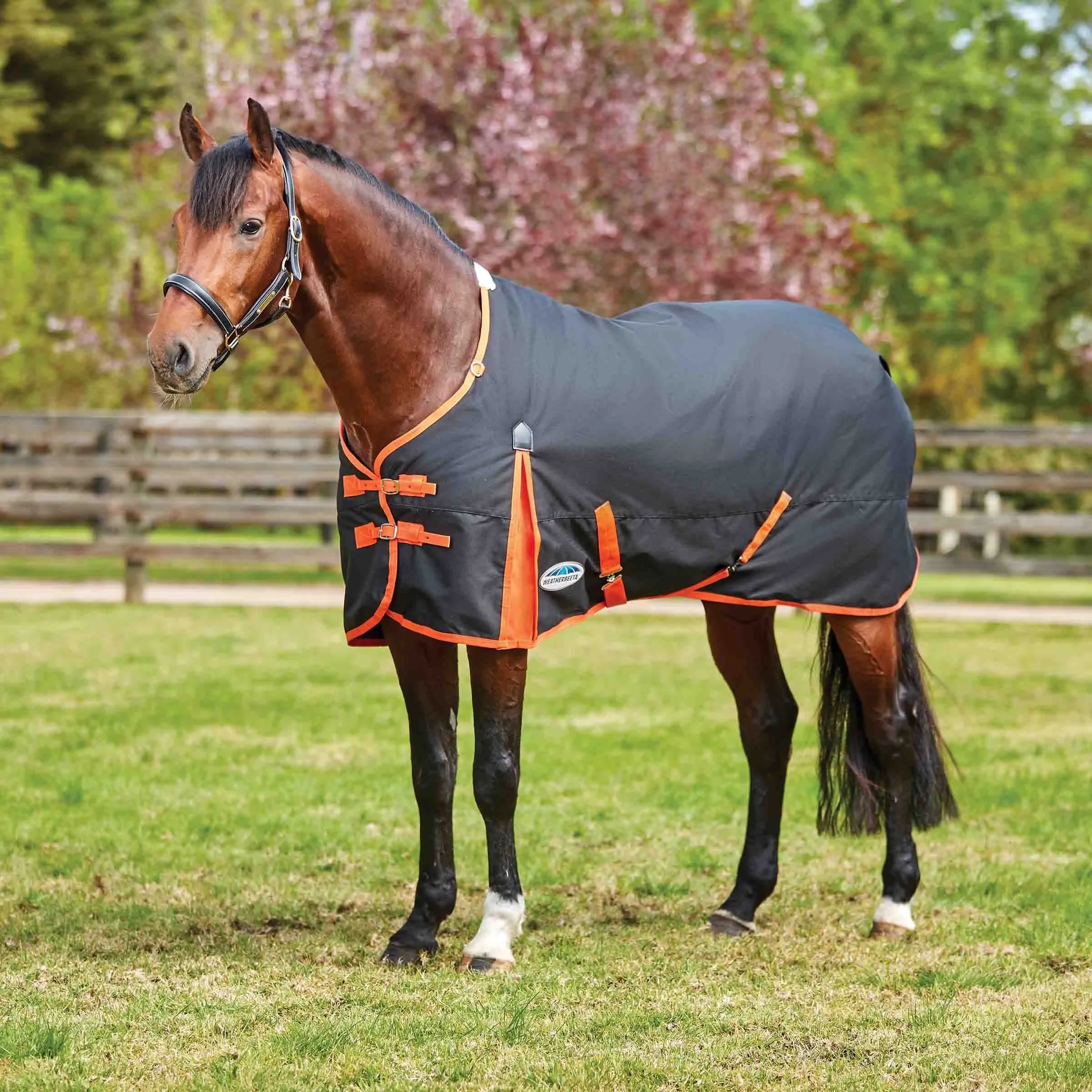 WeatherBeeta Comfitec Essential Standard Neck Heavy Turnout Blanket